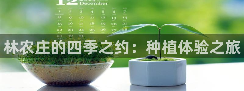 琳琅娱乐天美2