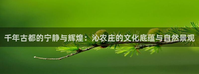 琳琅娱乐怎么样
