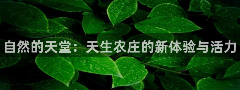 qq飞车琳琅娱乐组