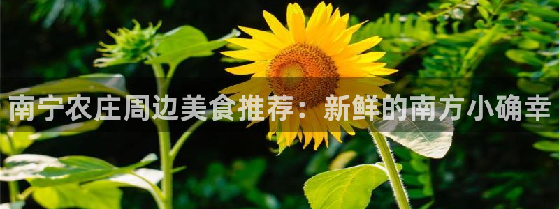 琳琅娱乐平台怎么样可靠吗