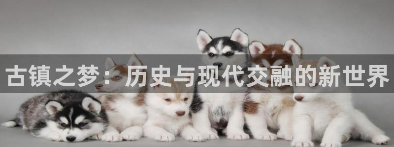杭州琳琅互动娱乐