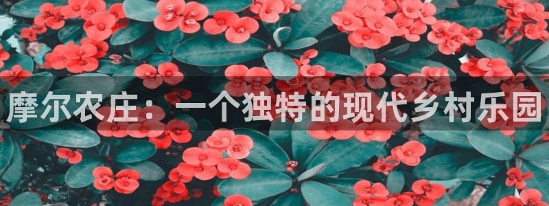 琳琅娱乐平台登陆