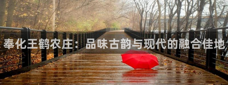 琳琅天上qq飞车娱乐