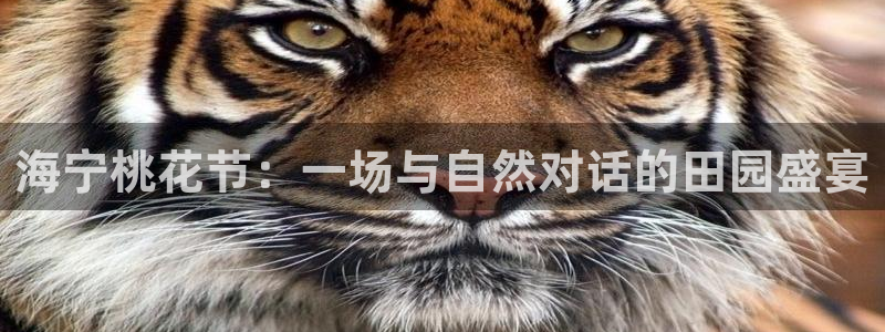 琳琅娱乐天美2