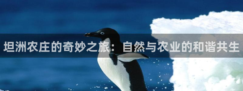 琳琅娱乐场所有哪些