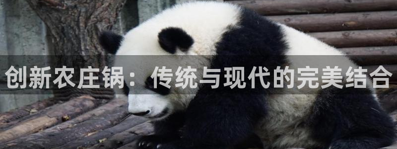 琳琅社区文艺娱乐