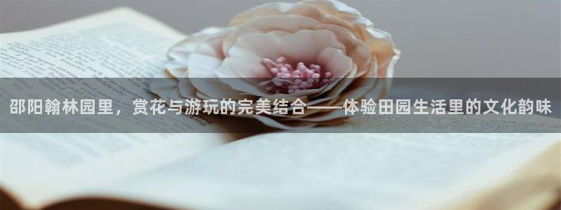 琳琅娱乐场所