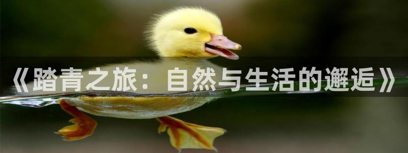 琳琅娱乐场所在哪里