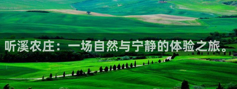 娱乐从琳琅榜开始
