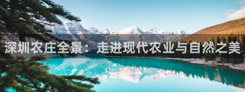琳琅科技娱乐机器人插件
