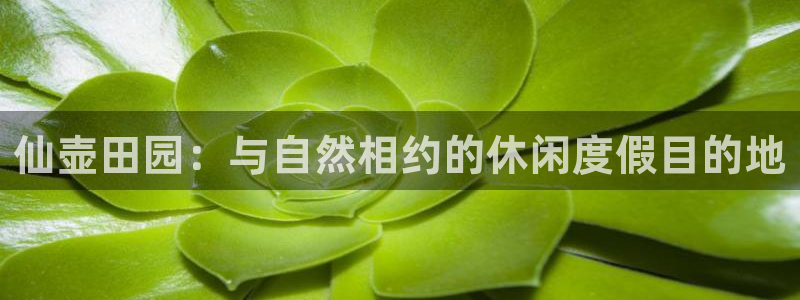 琳琅娱乐工作室招聘