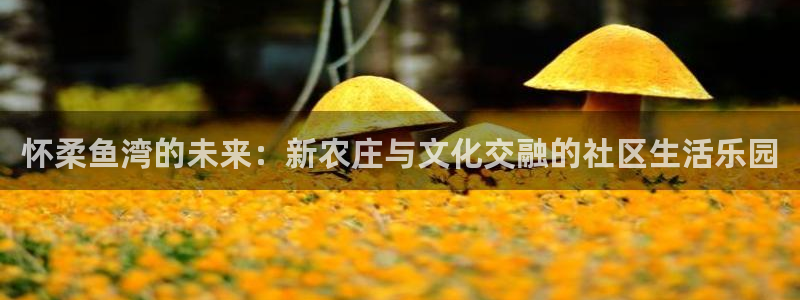 琳琅娱乐怎么样