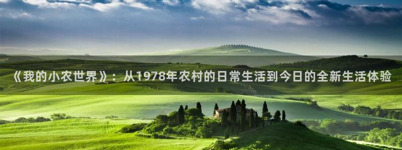 琳琅科技娱乐机器人
