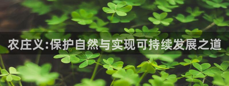 琳琅娱乐平台帐7O777