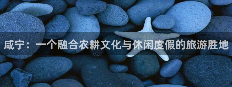 琳琅科技娱乐机器人