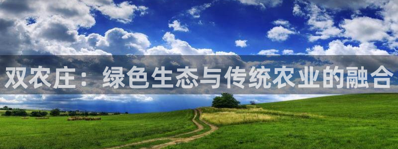 qq飞车琳琅娱乐组