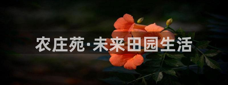 琳琅娱乐社区600