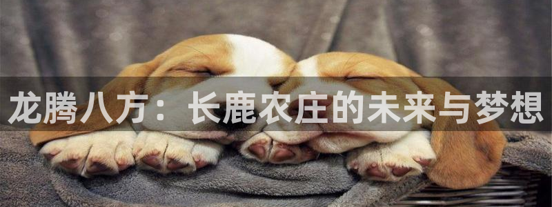 琳琅社区文艺娱乐