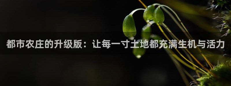 琳琅科技娱乐qq机器人词库