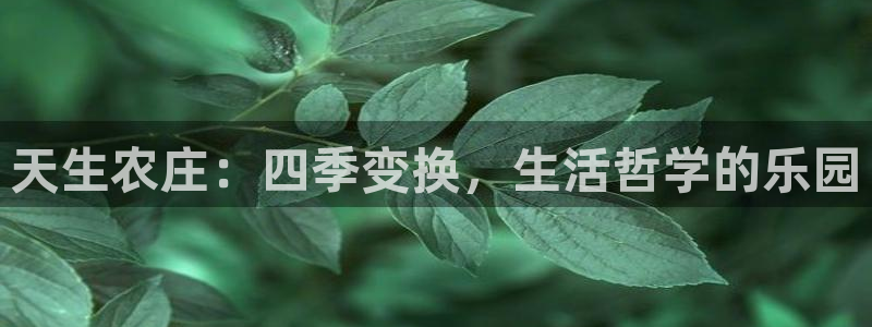 琳琅社区综艺文化娱乐