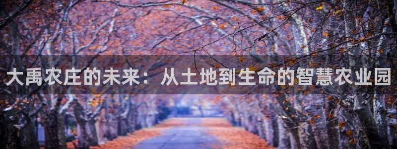 琳琅娱乐招商注册