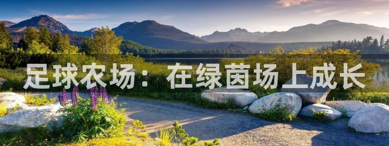 琳琅娱乐注册登录官网