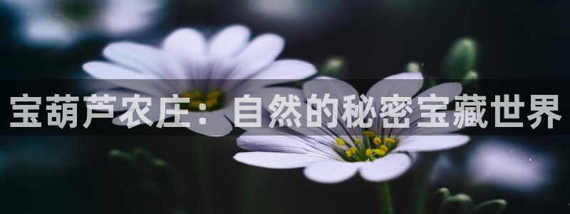 琳琅娱乐注册登录不了