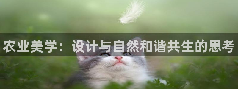 琳琅娱乐放心33300