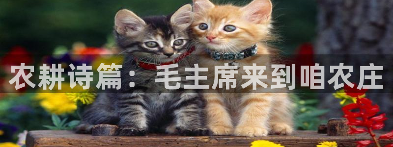 琳琅娱乐代理注册