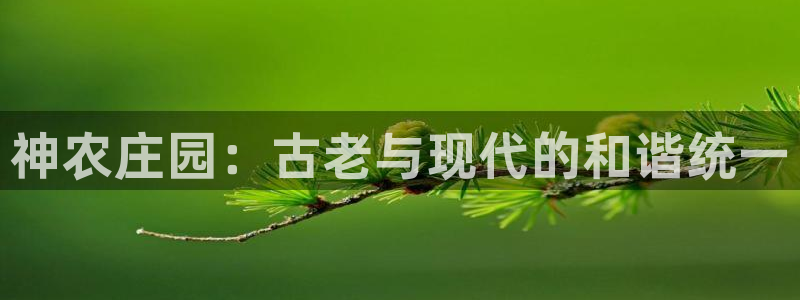 琅琳琅娱乐社区