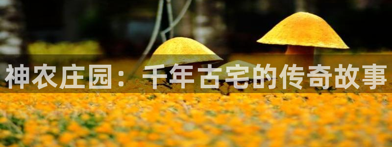 琳琅娱乐平台登陆