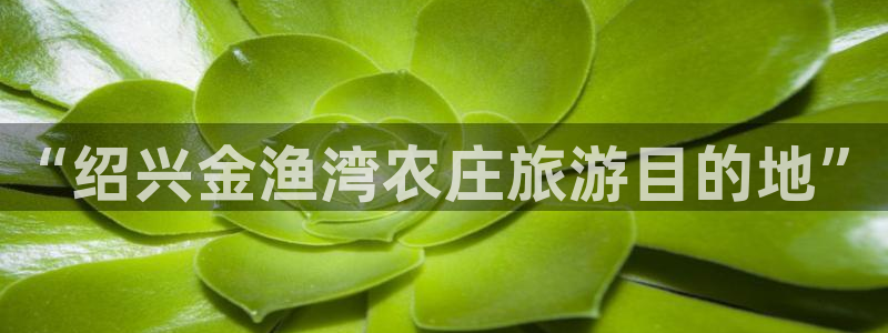 琳琅娱乐平台是真的吗知乎