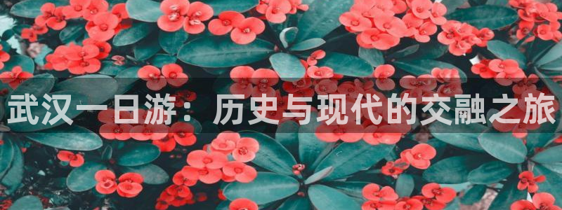 琳琅娱乐装7O777