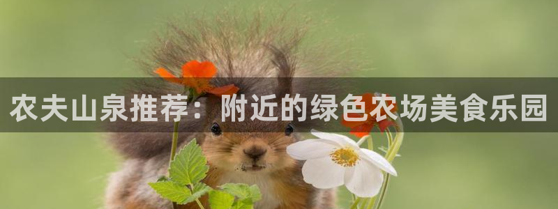 琳琅娱乐代理注册