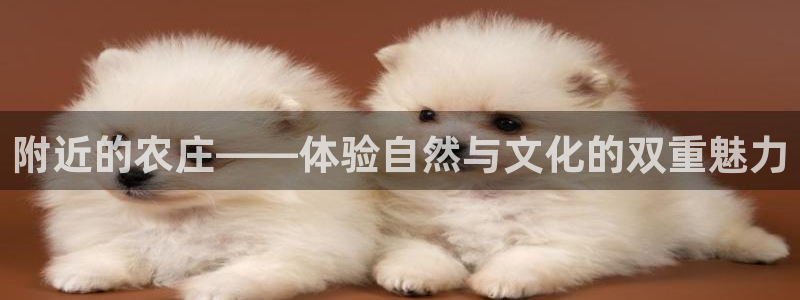 娱乐 从琳琅榜开始