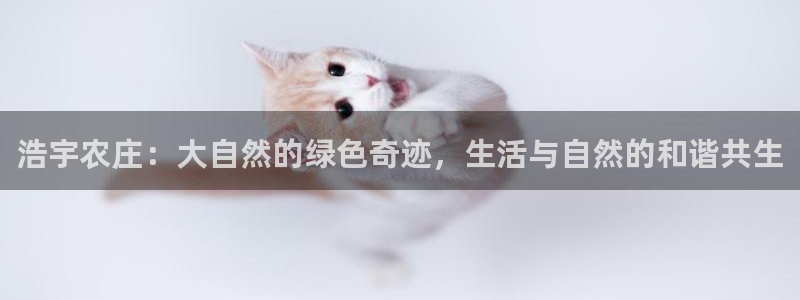 琳琅娱乐工作室招聘