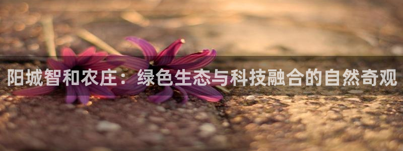 琳琅国际娱乐会所地址