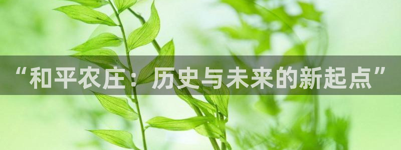 琳琅娱乐工作室招聘