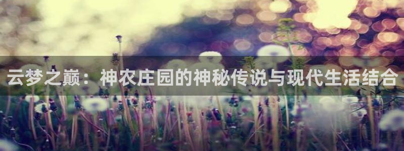 琳琅娱乐代理注册