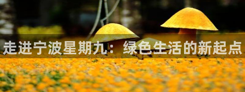 琳琅娱乐工作室招聘条件