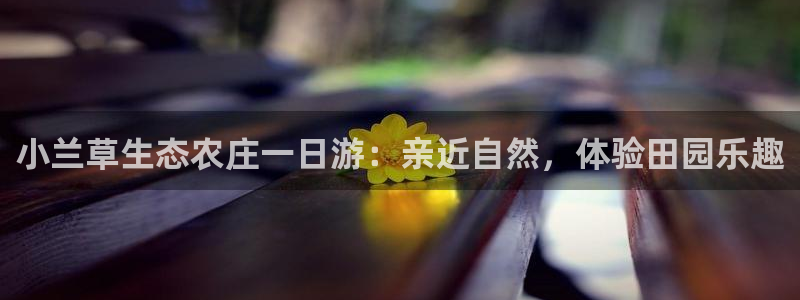 琳琅社区综艺文化娱乐