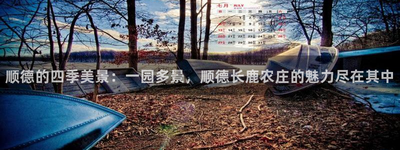 琳琅娱乐工作室怎么样啊