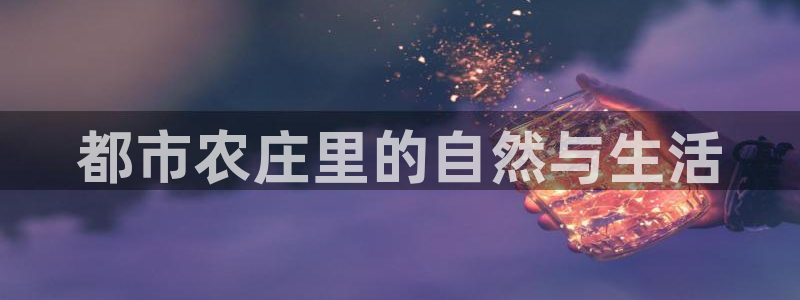 琳琅娱乐注册资金多少