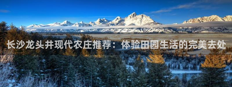 琳琅社区综艺文化娱乐