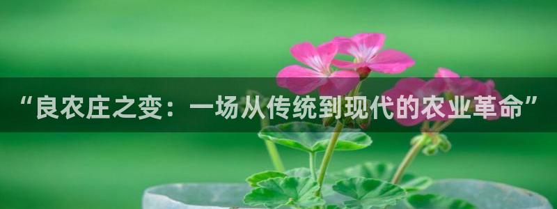 琳琅娱乐代理怎么做的