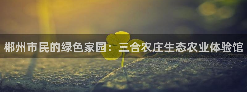 琳琅满目的娱乐设施