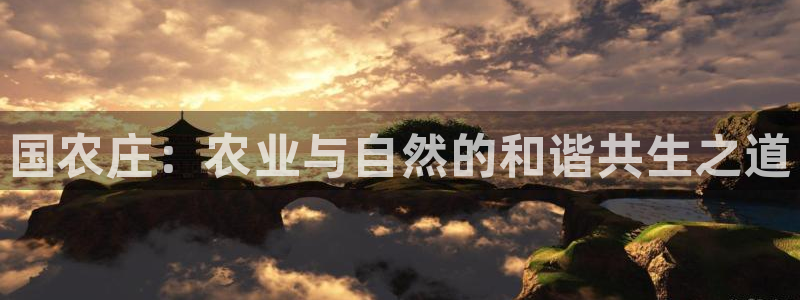 琳琅娱乐在哪直播的