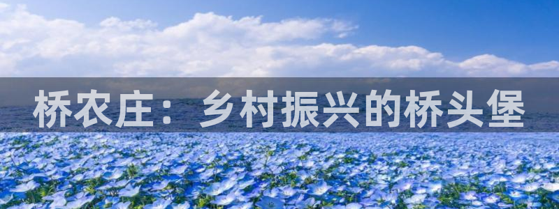 琳琅娱乐机器人