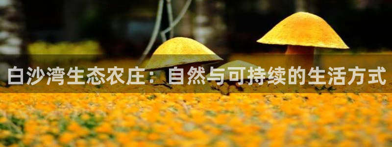 琳琅娱乐工作室怎么样啊