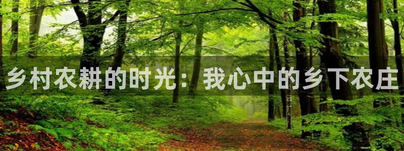 琳琅娱乐工作室招聘信息